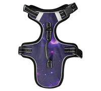 Dark Bat Vampire Web Moon Reflective Dog Personalized for Animal Working Cat Harnesses with Handle Chaleco para perro Medium