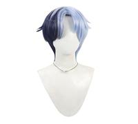 Dark Blue and Light Blue Short Cosplay Wigs for Men Male Two Tone Wig Realistic Anime Game Costume Wigs Synthetic Wig for Cosplay Party