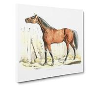 Dark Brown Horse by Henry Alken Canvas Print | Gallery Wrapped 30mm Frame Wall Art | 14x14 inches | Ready to Hang | Retro Animals Picture | Living Room Bedroom Lounge Office
