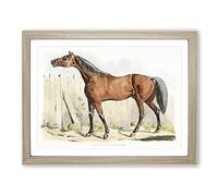 Dark Brown Horse By Henry Alken Vintage Framed Print | A2 Oak Framed Wall Art | Ready to Hang | Classic Animal Picture | Living Room Bedroom Lounge Office
