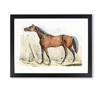 Dark Brown Horse By Henry Alken Vintage Framed Print | A3 Black Framed Wall Art | Ready to Hang | Classic Animal Picture | Living Room Bedroom Lounge Office