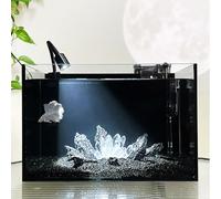 Dark Crystal Betta Fish Tank - Ultra Clear Black Back Aquarium with Silent Filter, Desktop Betta Tank for Betta, Goldfish, Shrimp(20x20x25cm/7.8x7.8x9.8in)