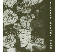 Dark Day - Darkest Before Dawn [VINYL]