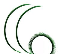 Dark Green Biot Feathers x 5 - Millinery hat, fascinator, wedding decoration - long feathers
