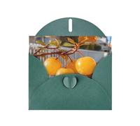 Dark Green Envelope Greeting Cards With Unique Citrus Gleam Pattern For Write Down Your Blessings For Various Holidays