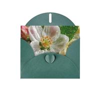 Dark Green Envelope Greeting Cards With Unique Ornate Petals Pattern For Write Down Your Blessings For Various Holidays