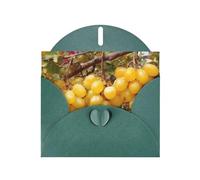 Dark Green Envelope Greeting Cards With Unique Sweet Grapes Pattern For Write Down Your Blessings For Various Holidays