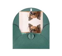 Dark Green Greeting Cards with Matching Envelopes - Papillon in the box Print Blank Blessed Cards for Birthday, Wedding, Valentine's Day