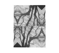 Dark Green Holiday greeting check blank card and pearl beautiful blank note block VVXBHGR Swinging tree shadow Pattern