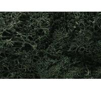 Dark Green Lichen for model sceneries - Woodland scenics WL164