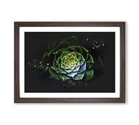Dark Green Succulent Plant Paint Splash Framed Print | A2 Walnut Framed Wall Art | Ready to Hang | Modern Floral Picture | Living Room Bedroom Lounge Office