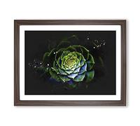 Dark Green Succulent Plant Paint Splash Modern Art Framed Wall Art Print, Ready to Hang Picture for Living Room Bedroom Home Office Décor, Walnut A4 (34 x 25 cm)