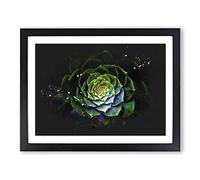 Dark Green Succulent Plant Paint Splash Modern Art Framed Wall Art Print, Ready to Hang Picture for Living Room Bedroom Home Office Décor, Black A4 (34 x 25 cm)