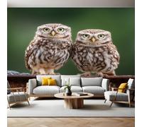 Dark Green Wall Mural 250 x 180 cm Two Little Owls Non-Woven Art Print Wallpaper Mural for Walls Living Room Bedroom TV Background Boys Girls Kids Rooms Decoration