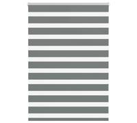 (dark grey, 100 x 100 cm) vidaXL Zebra Blind Black 105x100 cm Fabric Width 100.9 cm Polyester