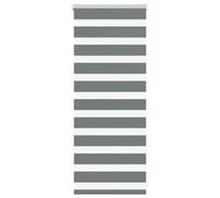 vidaXL Zebra Blind Dark Grey 55x100 cm Fabric Width 50.9 cm Polyester, zebra roller blind, dual roller blind, zebra blind for window