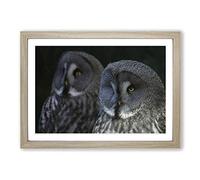 Dark Grey Owls Birds Framed Print | A2 Oak Framed Wall Art | Ready to Hang | Modern Animal Picture | Living Room Bedroom Lounge Office