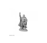 Dark Heaven Legends: Amari, Adventuring Wizard