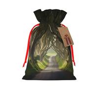 Dark Hedges Northern Ireland Printed Christmas Drawstring Bags Reusable Xmas Bag for Party Xmas Gift Wrapping, Red Ribbon, S