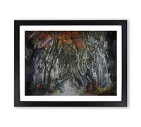 Dark Hedges Tree Road Ireland In Abstract Modern Art Framed Print | A2 Black Framed Wall Art | Ready to Hang | Abstract Floral Picture | Living Room Bedroom Lounge Office