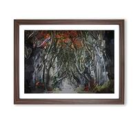 Dark Hedges Tree Road Ireland In Abstract Modern Art Framed Wall Art Print, Ready to Hang Picture for Living Room Bedroom Home Office Décor, Walnut A4 (34 x 25 cm)