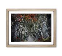 Dark Hedges Tree Road Ireland In Abstract Modern Art Framed Wall Art Print, Ready to Hang Picture for Living Room Bedroom Home Office Décor, Oak A3 (46 x 34 cm)
