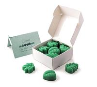 Dark Honey Scented Handmade Soy Wax Melts, Leaf Shaped Wax Melts with Gift Box and Poem