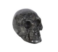 Dark Matter Labradorite Skull Crystal Something Different Black One Size