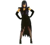 Dark Mistress Set Medium Adult Ladies Halloween Gothic Fancy Dress Costume