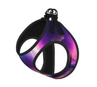 Dark Northern Lights Print Harness Leash Set For Cat Dog, Reflective Adjustable Escape-Proof Vest Lead With Soft Breathable Mesh, For Small Pets And Kitten Puppy