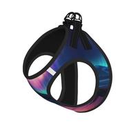 Dark Northern Lights Print Harness Leash Set For Cat Dog, Reflective Adjustable Escape-Proof Vest Lead With Soft Breathable Mesh, For Small Pets And Kitten Puppy