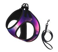 Dark Northern Lights Print Reflective No Choke Pet Vest Harness,Adjustable Soft Padded Dog Harness With Easy Control Handle