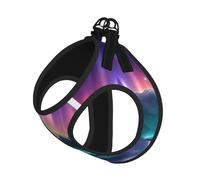 Dark Northern Lights Print Reflective No Choke Pet Vest Harness,Adjustable Soft Padded Dog Harness With Easy Control Handle