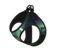 Dark Northern Lights Print Reflective Pet Leash Vest For Small Dogs & Cats, Adjustable Outdoor Walking Hiking Vest