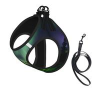 Dark Northern Lights Printing Dog Summer Harness With Leash Set,Adjustable And Reflective Step-In Puppy Pet Vest Harnesses