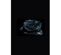 Dark passions: when being friendly goes too far