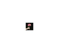 (Dark Pink) Hydrangea 46cm Artificial Fake Silk Flowers Bouquet Bridal Home Decor Wedding