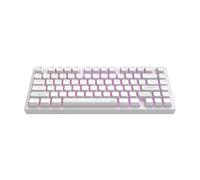 Dark Project ALU81A TERRA NOSTRA Mechanical Gaming Keyboard | ANSI ENG | Hot-Swap | G3MS Moonstone Greased Switches | Greased Stabilisers | Flex Gasket Mount | Aluminum | 75% (81keys) | RGB | Wired