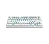 Dark Project ALU81A TERRA NOVA Wireless Mechanical Gaming Keyboard | ANSI ENG | Hot-Swap | G3MS Moonstone Greased Switches | Greased Stabilisers | Flex Gasket Mount | Aluminum | 75% (81keys) | RGB