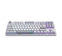 Dark Project ALU87A Daylight Mechanical Gaming Keyboard | ANSI UA | Hot-Swap | Lubricated Switches and Stabilizers G3MS Zircon Speed | Flexible Gasket Mount | Aluminum | TKL 80% | RGB | Wired