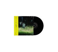 Frank Carter & The Rattlesnakes - Dark Rainbow [VINYL]