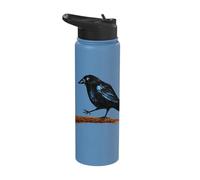Dark Raven Black Crow Silhouette Moody Gothic Black Bird Stainless Steel Insulated Water Bottle