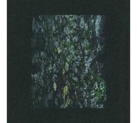 Dark Sky - The Walker/Kilter - Remixes [VINYL]