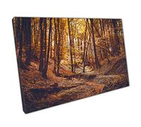 Dark Thick Autumnal Forest Woodland With Golden Sunlight Seeping Through The Trees Wall Art Print On Canvas Picture For Home Office Decor 76x51cm (30x20In)
