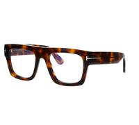 Dark Tortoise / 53