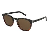Dark Tortoise/Brown / 49