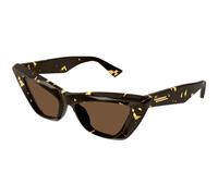 Dark Tortoise/Brown / 53