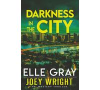 Darkness in the City: 3 (Joey Wright FBI Mystery Thriller)
