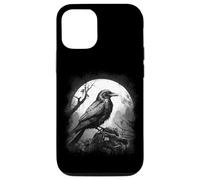 DARKNESS THERE & NOTHING MORE The Raven Edgar Allan Poe Meme Case for iPhone 12/12 Pro