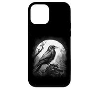 DARKNESS THERE & NOTHING MORE The Raven Edgar Allan Poe Meme Case for iPhone 12 mini